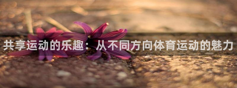 ug环球官网登录入口