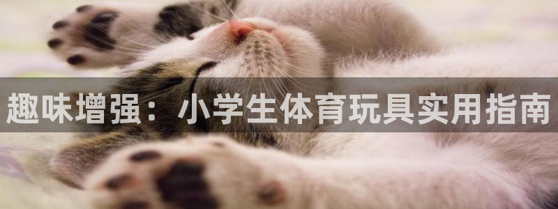 ug环球官网登录入口