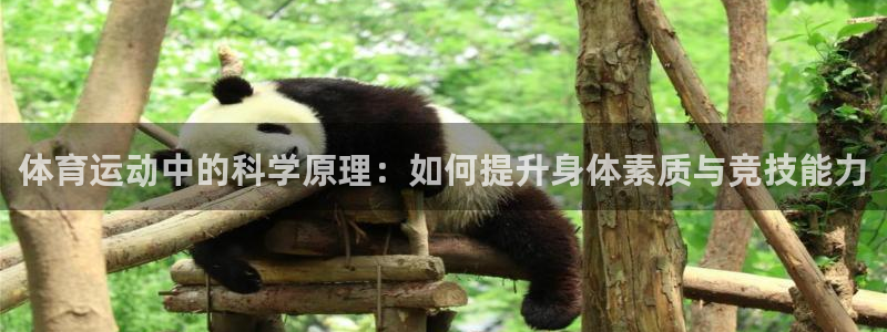ug环球官网