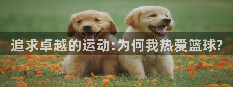 菲律宾ug环球官网
