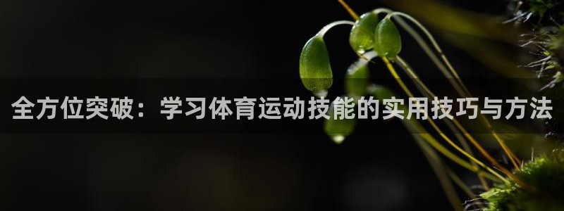 ug环球官网