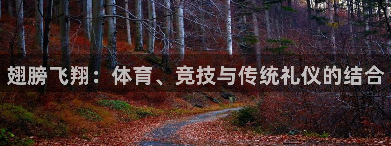 ug环球官网注册